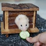 Friandise bio pour hamster - Bien alimenter son hamster
