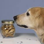 Friandises Bio pour chiens et rongeurs: des produits naturels, fait maison pour nos compagnons