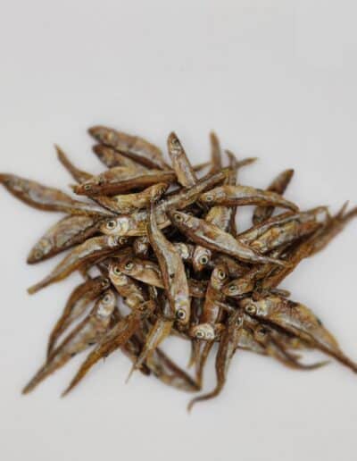 Sprats Mini Poissons séchés pour chiots et chiens