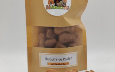 Biscuits Bio au Poulet pour Chien - friandises fait maison