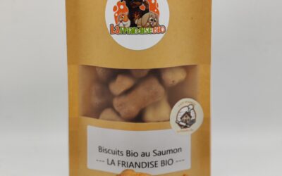 Biscuits Bio au Saumon pour Chien