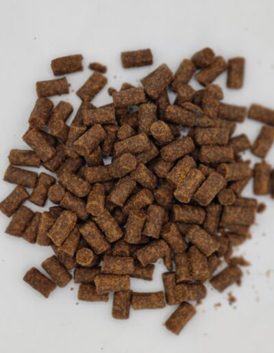 Friandises croquettes au saumon pour chats