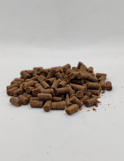 Friandises croquettes au saumon pour chiens