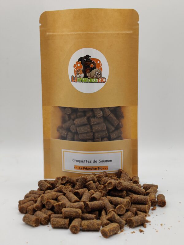 Friandises croquettes au saumon pour chiens et chats