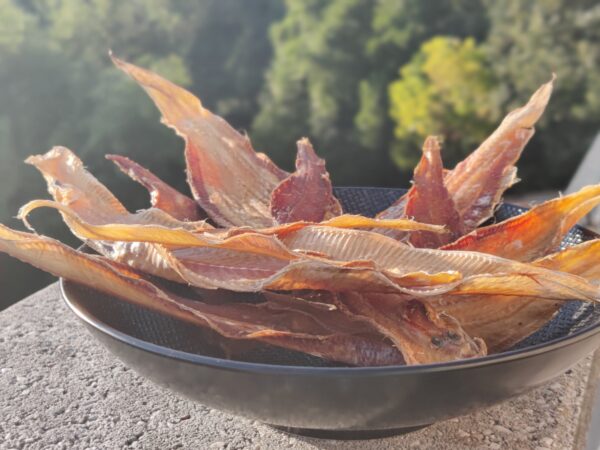 Friandises de Filet de Sole Séchée Pour Chiens