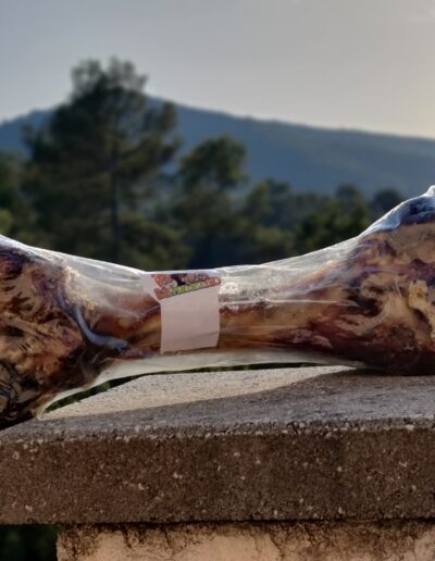 os de bœuf pour chien a ronger