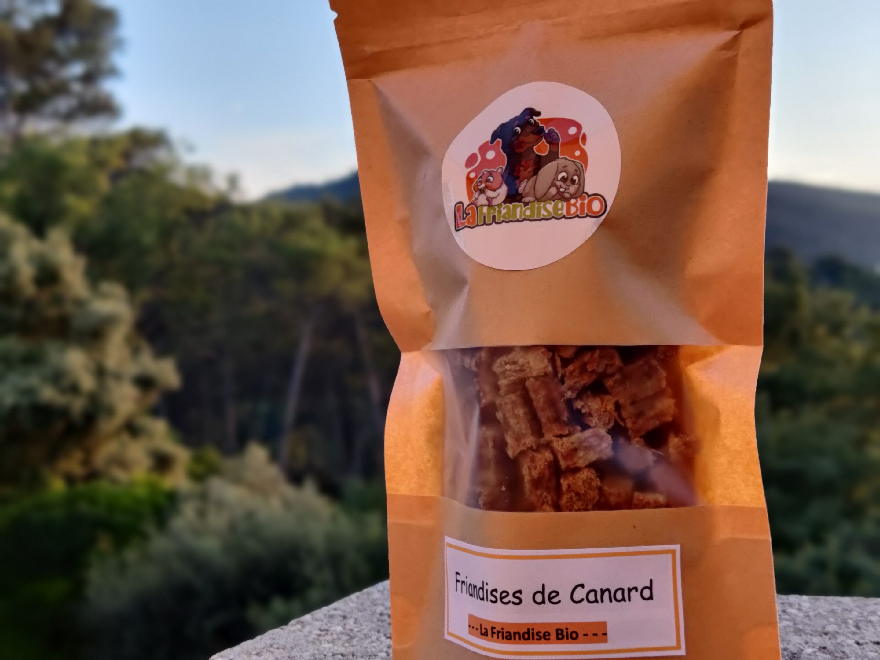 bienfaits des friandises de canard pour les chiens un guide complet