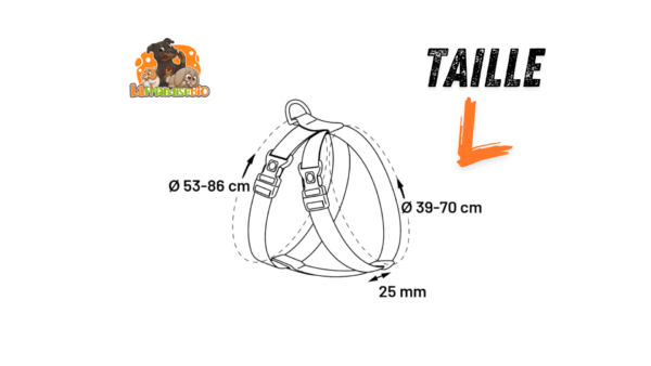 Harnais de sécurité taille L dimensions