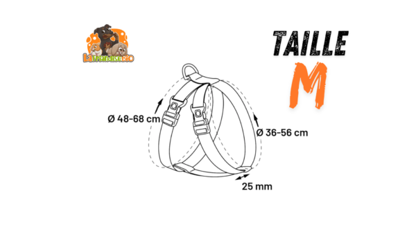 Harnais de sécurité taille M dimensions