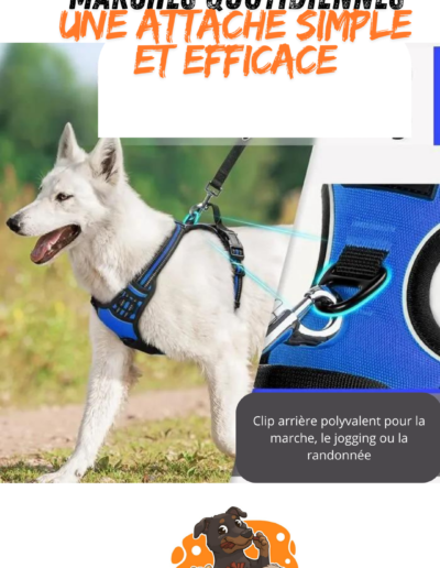 harnais Marches Quotidiennes et anti traction