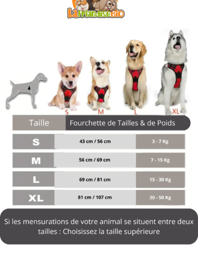 choisir taille harnais pour chien