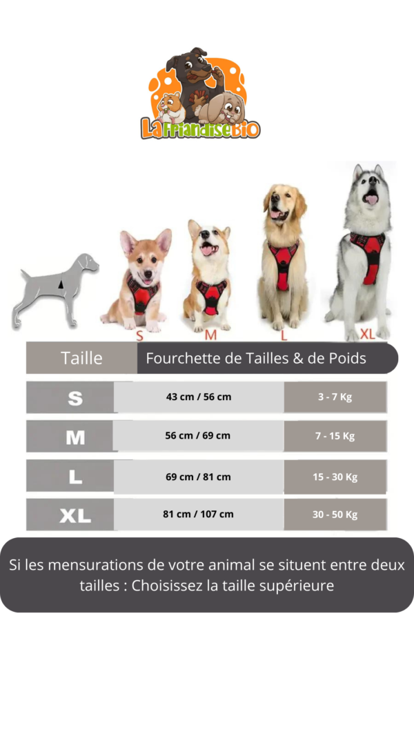 choisir taille harnais pour chien