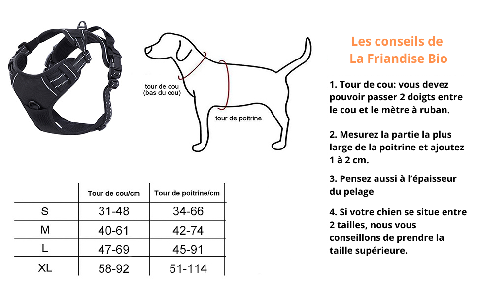 conseils pour bien choisir son harnais anti traction