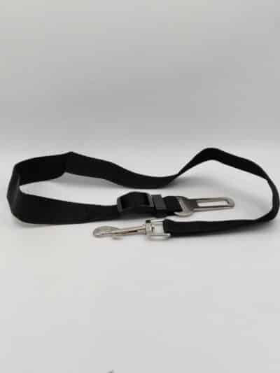 Attache ceinture de sécurité pour chien