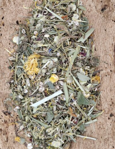 Mélange d'herbes des champs pour Rongeurs