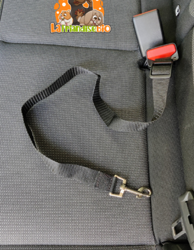 attache ceinture de sécurité harnais pour chien