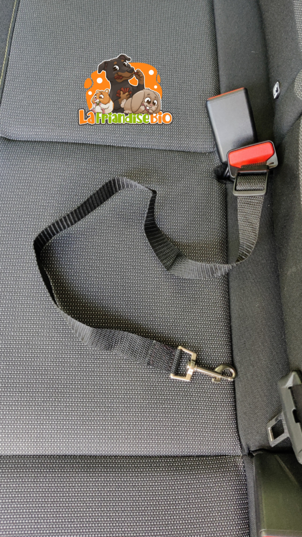 attache ceinture de sécurité harnais pour chien