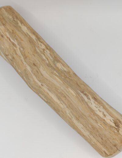 Bois de cafeier pour mastication longue