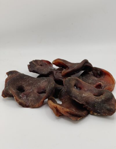 Groin de Cochon pour Chien