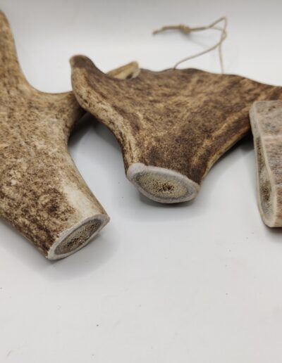 Bois de Cerf en jachère pour chiens