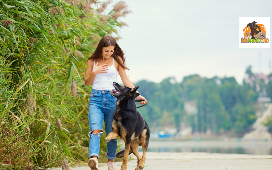 Comment stimuler intellectuellement votre chien pour un quotidien épanouissant