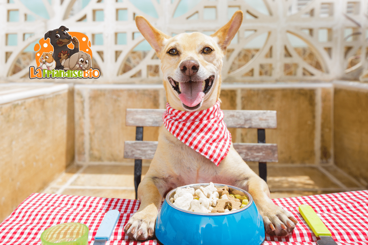 Mac's Dog Mono Mini – Croquettes Sans Céréales Agneau & Patate Douce – 3 Kg